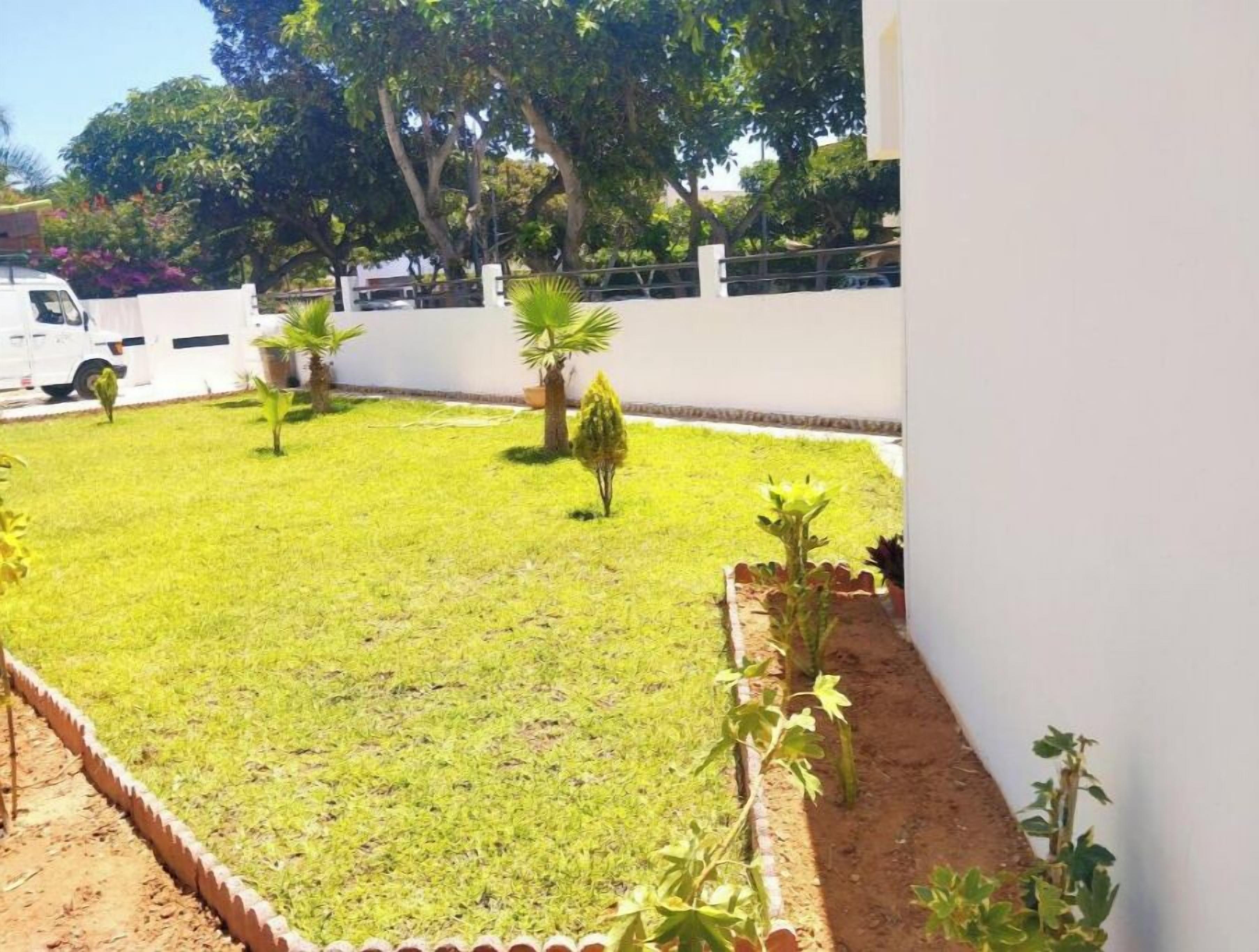Un jardin bien entretenu, avec une pelouse, plusieurs petits arbres et un mur blanc en arrière-plan.