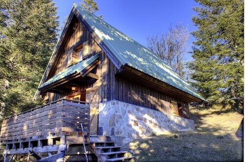 Larch - LA BOLLENE-VESUBIE