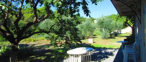 Terrass/Patio