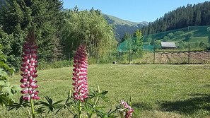 A grassy field with tall pink flowers and a mountain backdrop. - Chalet du Touron - BEUIL (BEUIL)