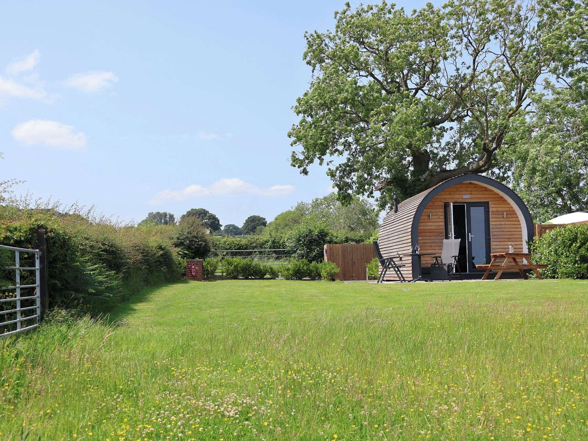 Une petite cabane en bois, dotée d’une porte et de fenêtres, entourée d’un champ herbeux et d’arbres.