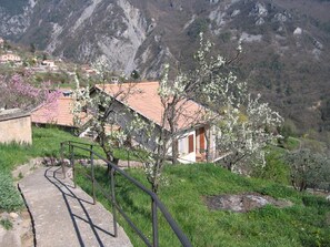 A rural setting with a stone pathway leading to a building with a red-tiled roof, surrounded by blooming trees and mountains in the background.