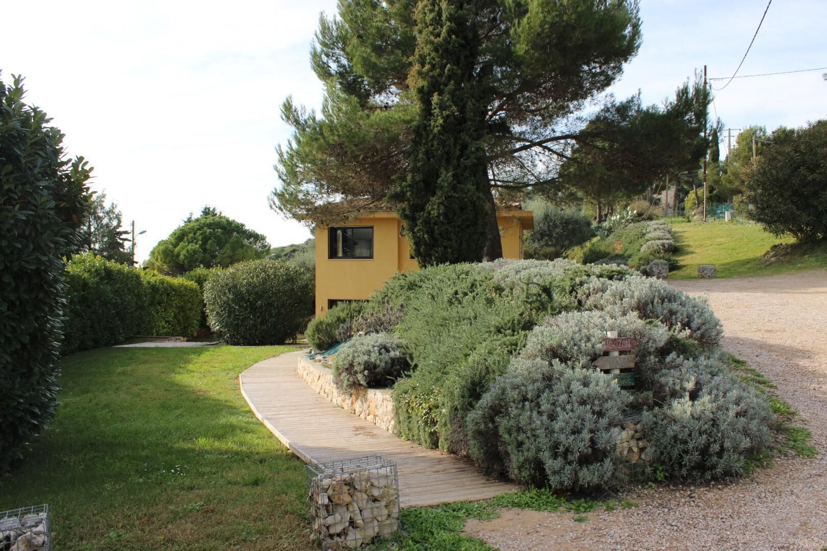 A yellow building with a stone pathway leading to it, surrounded by dense shrubbery and a large tree.