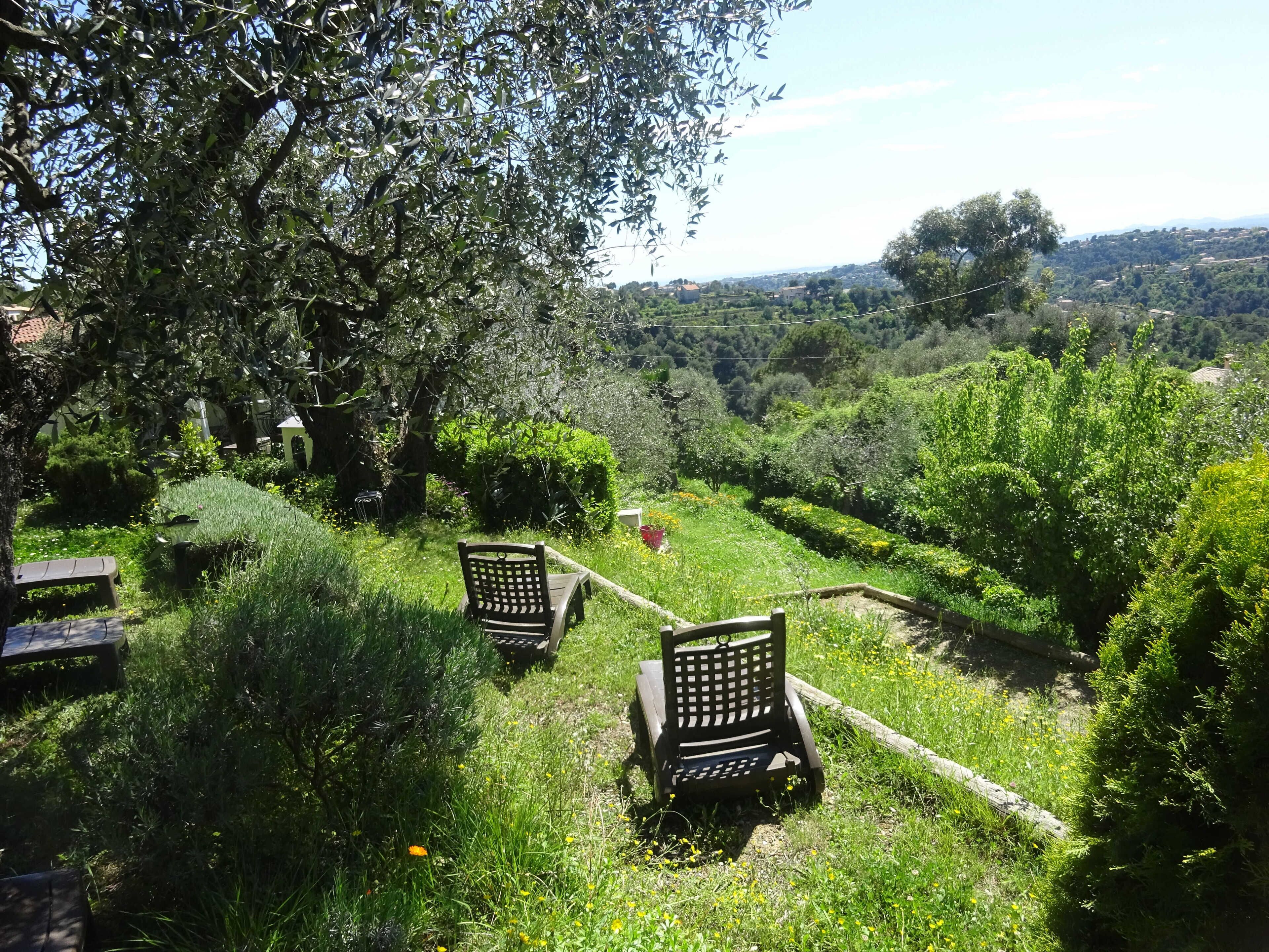 Un jardin avec des bancs et un sentier.