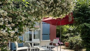 Un patio con mesa y sillas, rodeado de abundante vegetación y un paraguas rojo.
