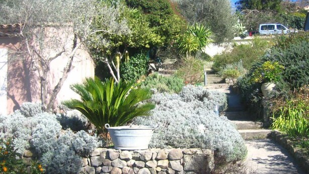 Un jardín con muro de piedra, diversas plantas y un sendero que asciende.