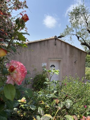Detalle exterior