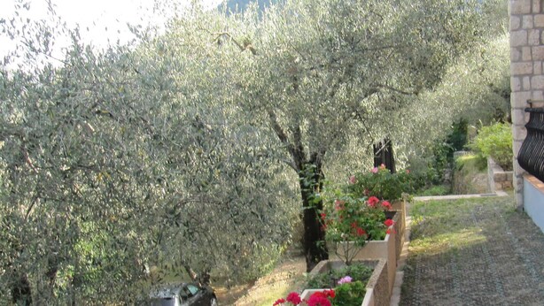 A garden with a car parked under a tree, a pathway, and a building with stone walls. - Montée St Jean d'Ermi - BREIL-SUR-ROYA (BREIL-SUR-ROYA)