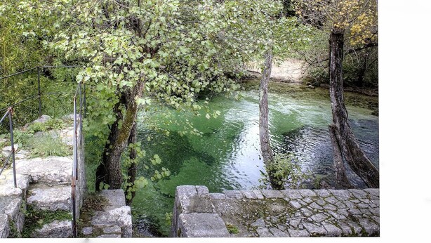 A stone bridge over a greenish river with trees and vegetation around.