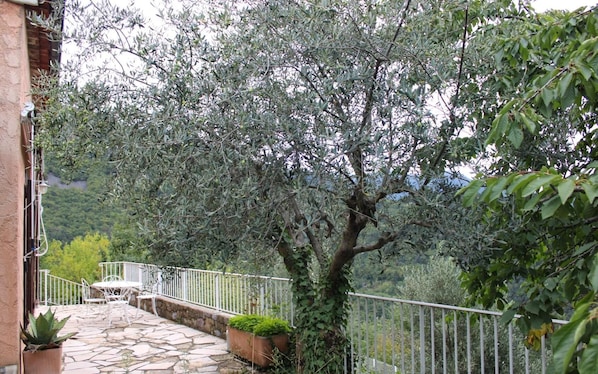 Terras