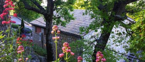 Terrein van de accommodatie