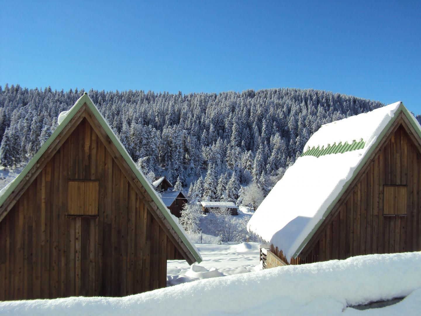 Two wooden cabins with snow-covered roofs, set against a backdrop of a snow-covered forest and clear blue sky.