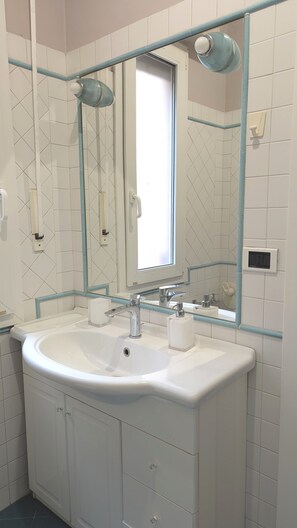Shower, hair dryer, bidet, towels