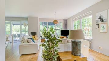 Televisión y chimenea