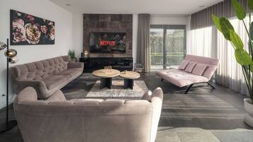 Télévision, cheminée, chaßne hi-fi