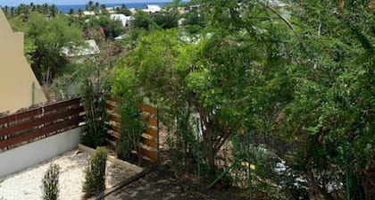 Adorable T1 center Saint Gilles Les Bains