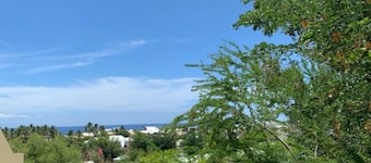 Adorable T1 center Saint Gilles Les Bains