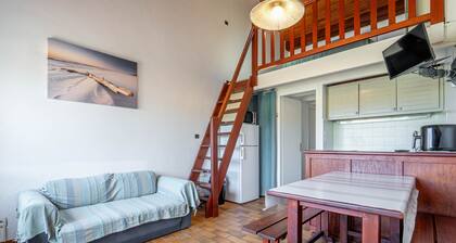 Mimizan South Beach: Lovely apartment for 4, near ocean, private parking - Cleaning included