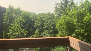 Un balcon donnant sur une forêt dense et verdoyante.