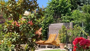 Un jardín con un porche de madera, césped y diversas plantas.