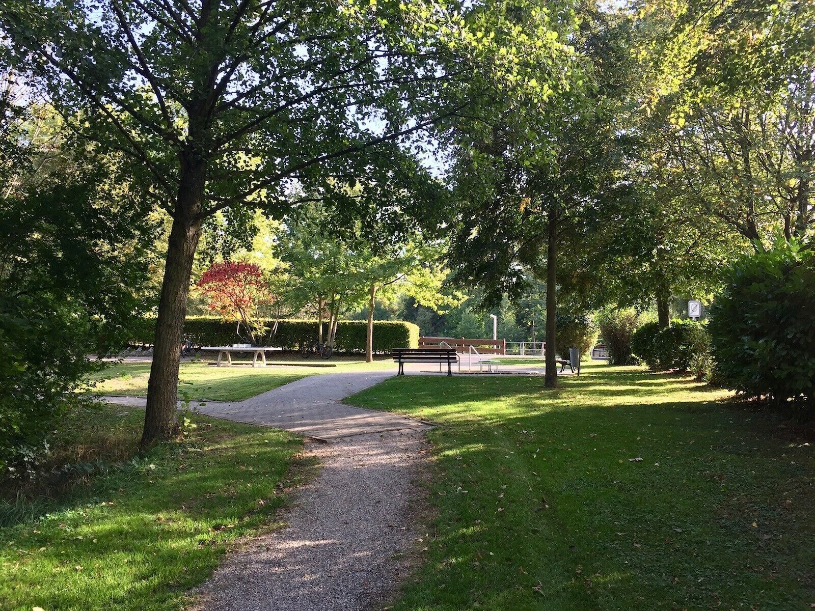 Un parque con un sendero de grava, bancos y árboles.