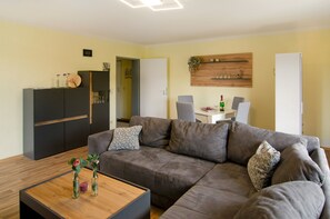 TV, fireplace, DVD player