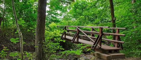 A wooden bridge in a forested area.