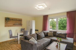 Fernseher, Kamin, DVD-Player