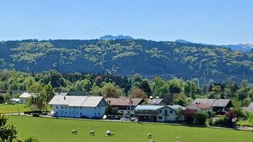 Verschiedenes