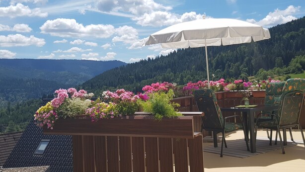 Una terrassa amb una taula i cadires, un parasol blanc i una jardineria amb plantes diverses.