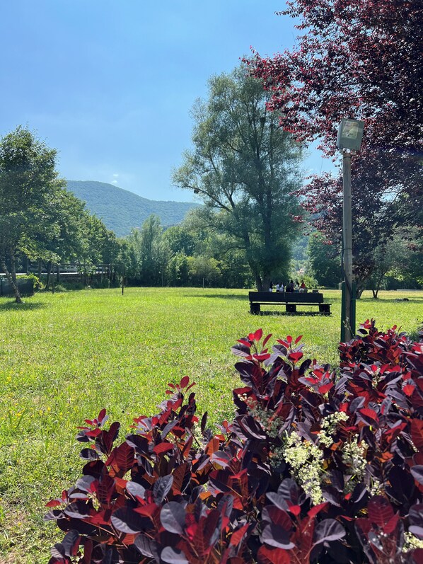 A grassy field with a bench and a tree. - Hotel Verdeneve (Villavallelonga)