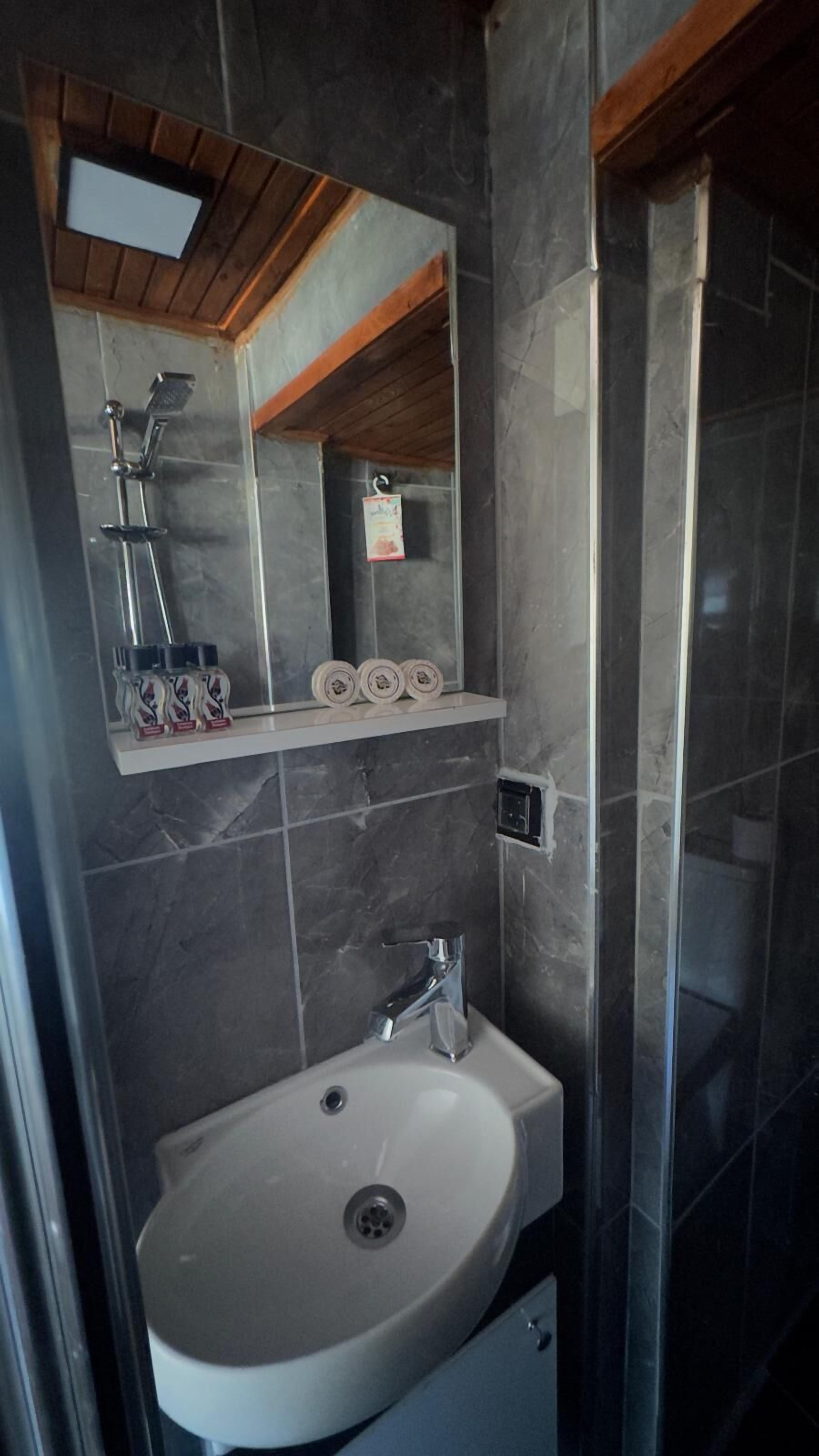 A bathroom with a white sink, a mirror, and a shower.