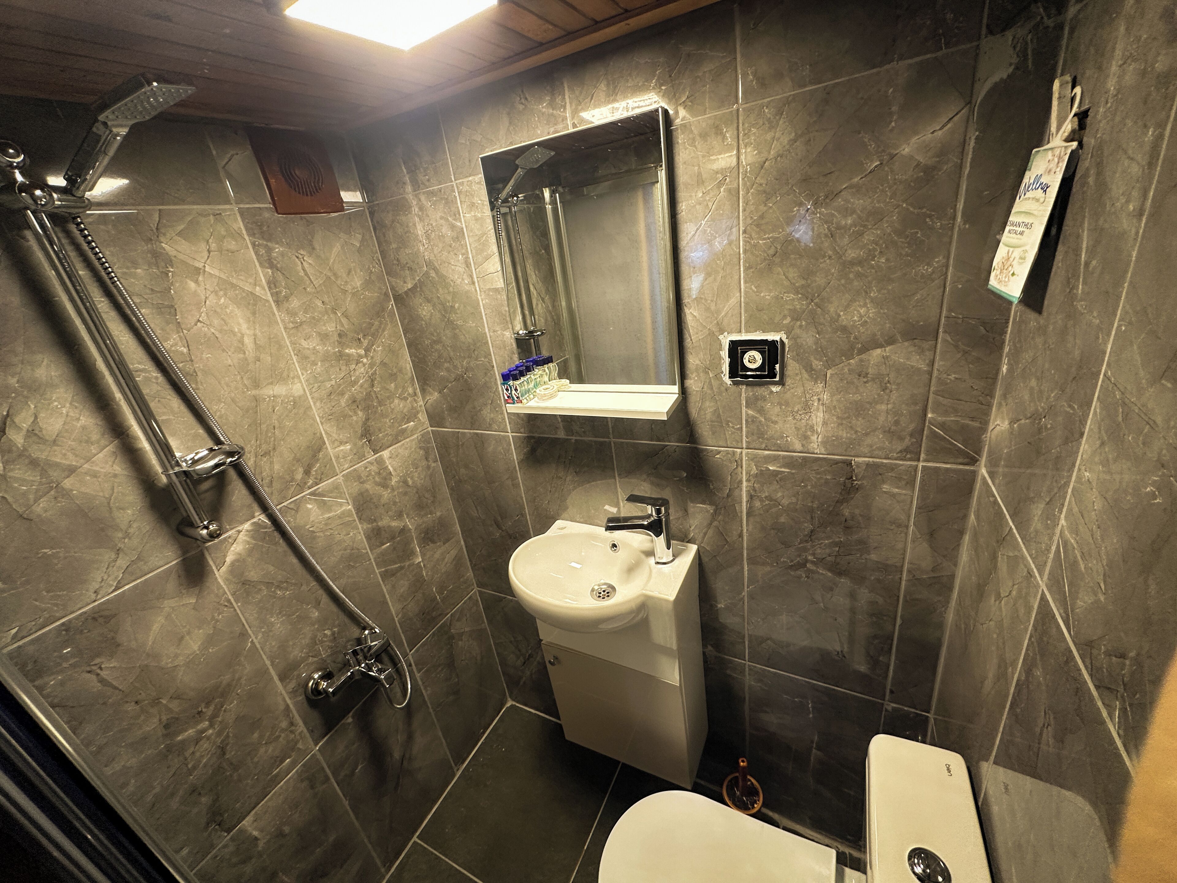 Ein Badezimmer mit Dusche, Waschbecken und Toilette.