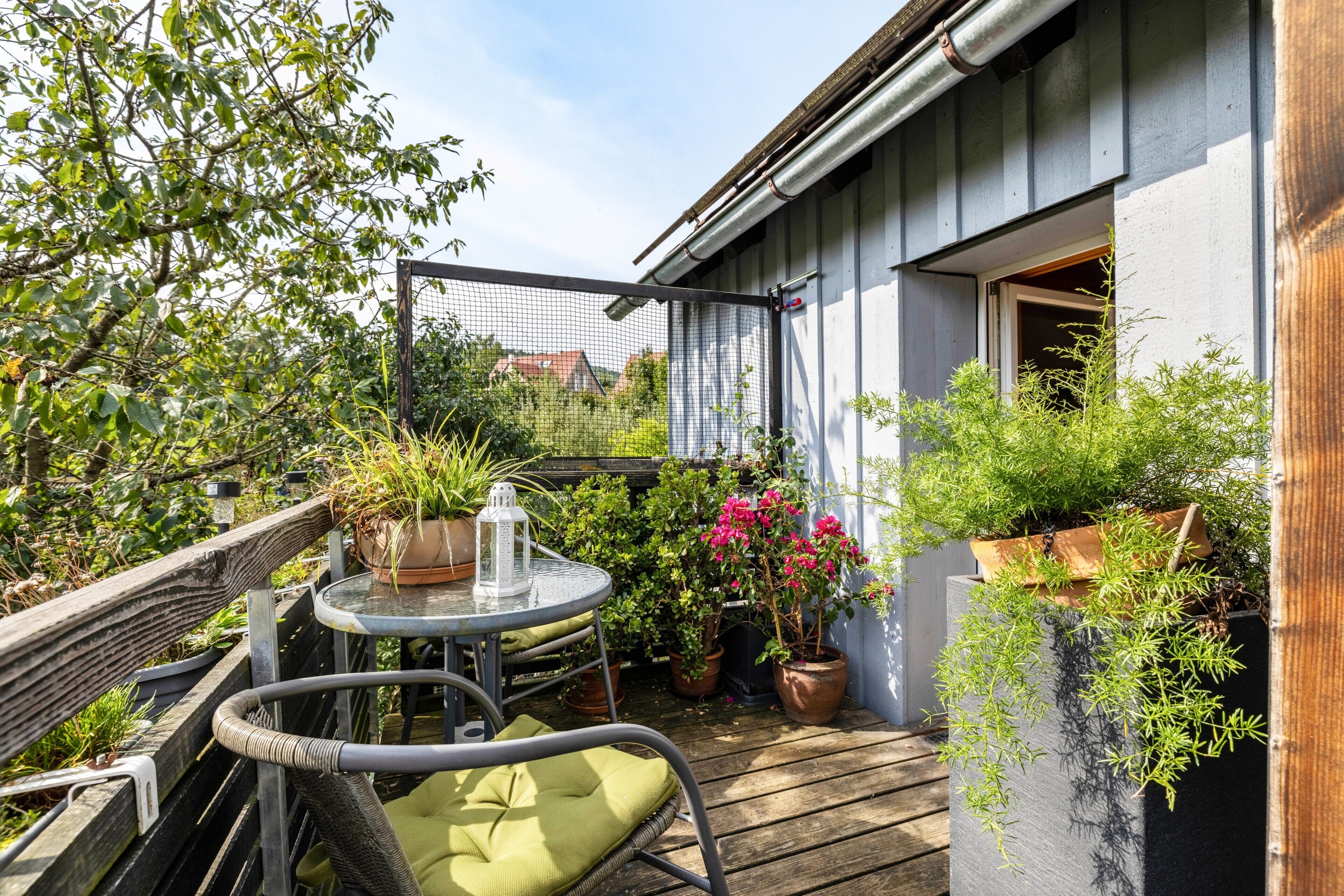 テラス / パティオ