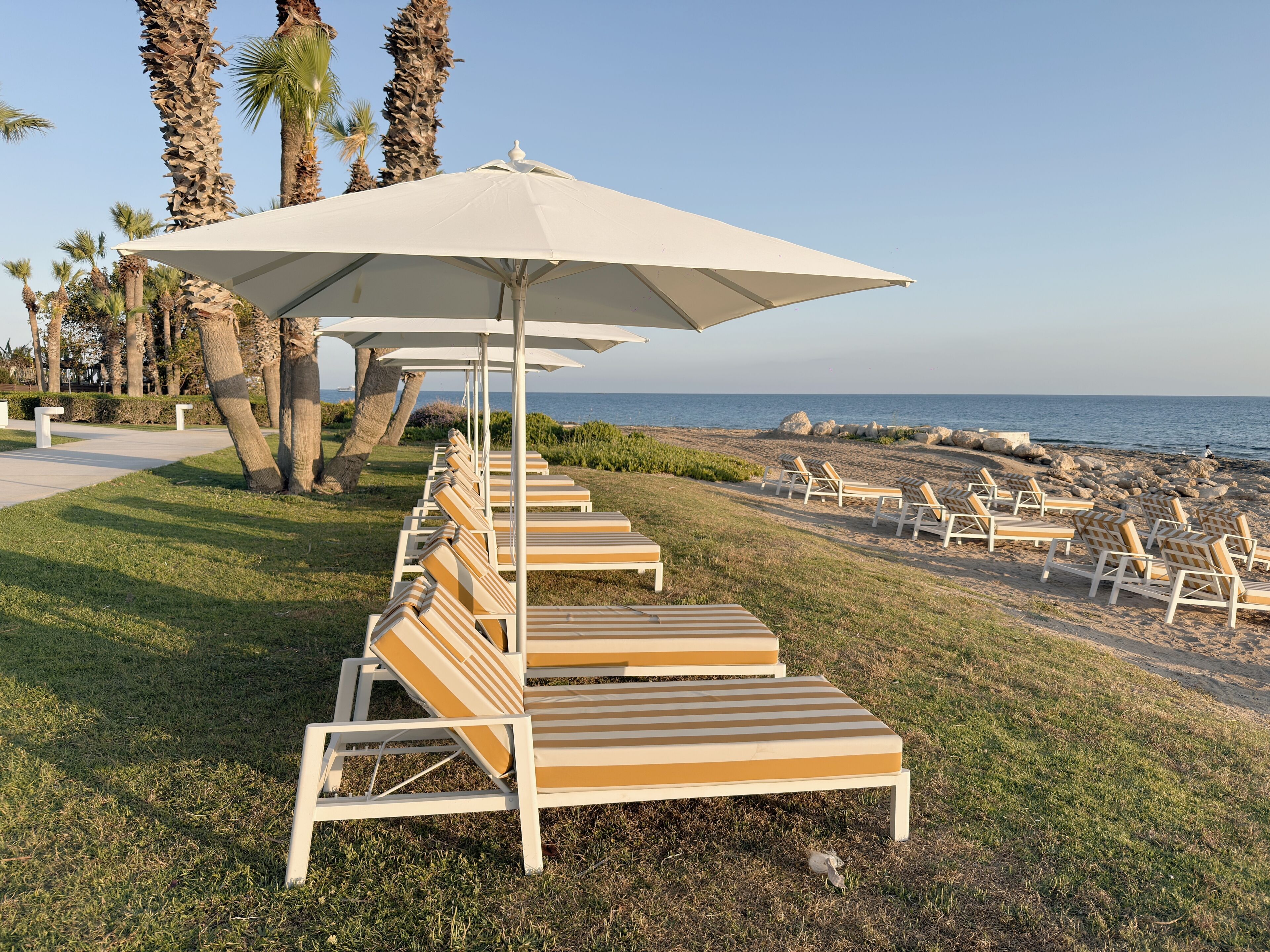 A row of sun loungers with umbrellas, a beach, and palm trees.