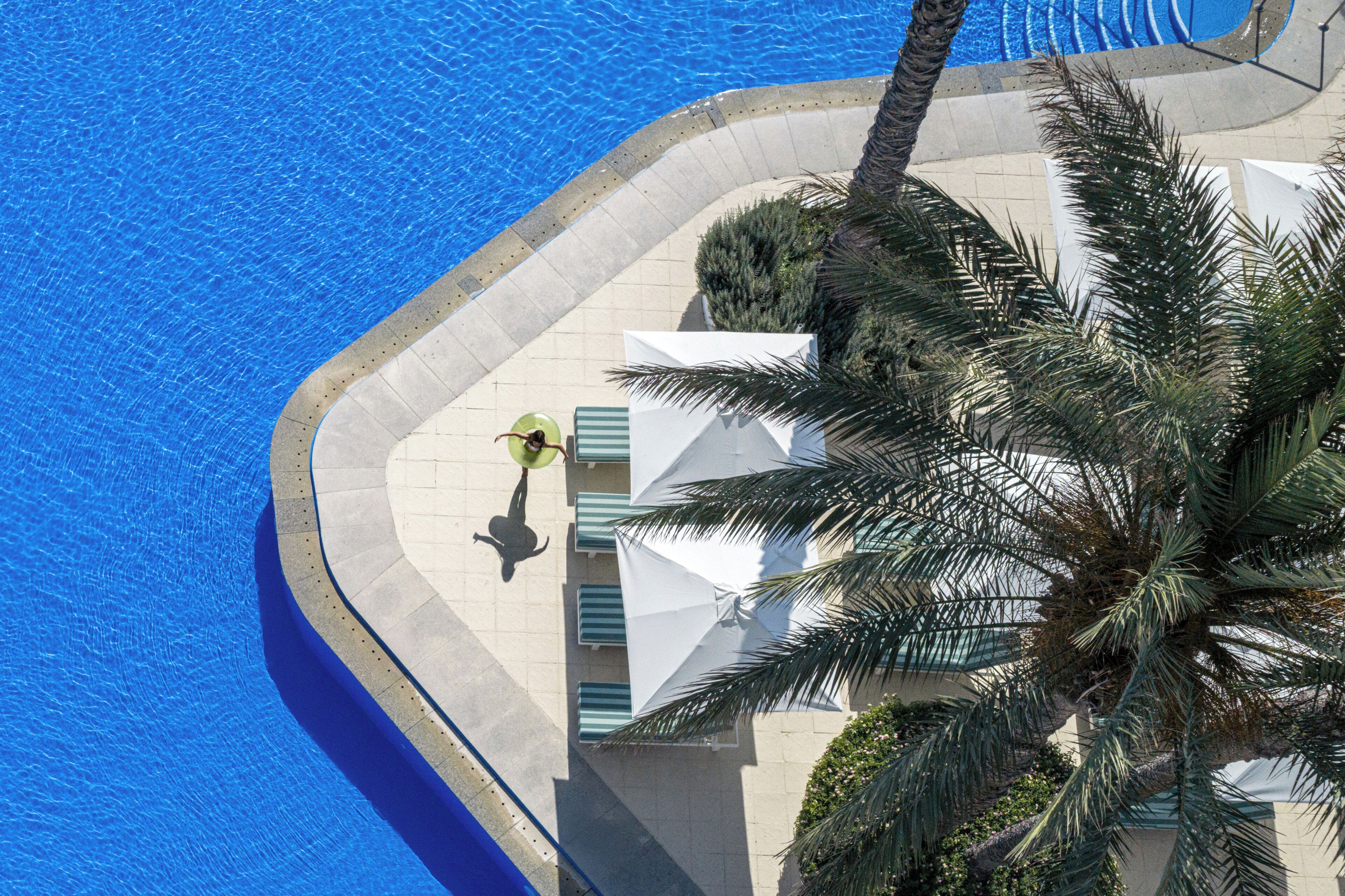 Zona junto a la piscina con borde curvo, sillas de descanso y una palmera.