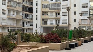 Property grounds - Sweat home Pool (Agadir)