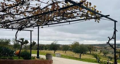 Finca Valdelajara con piscina