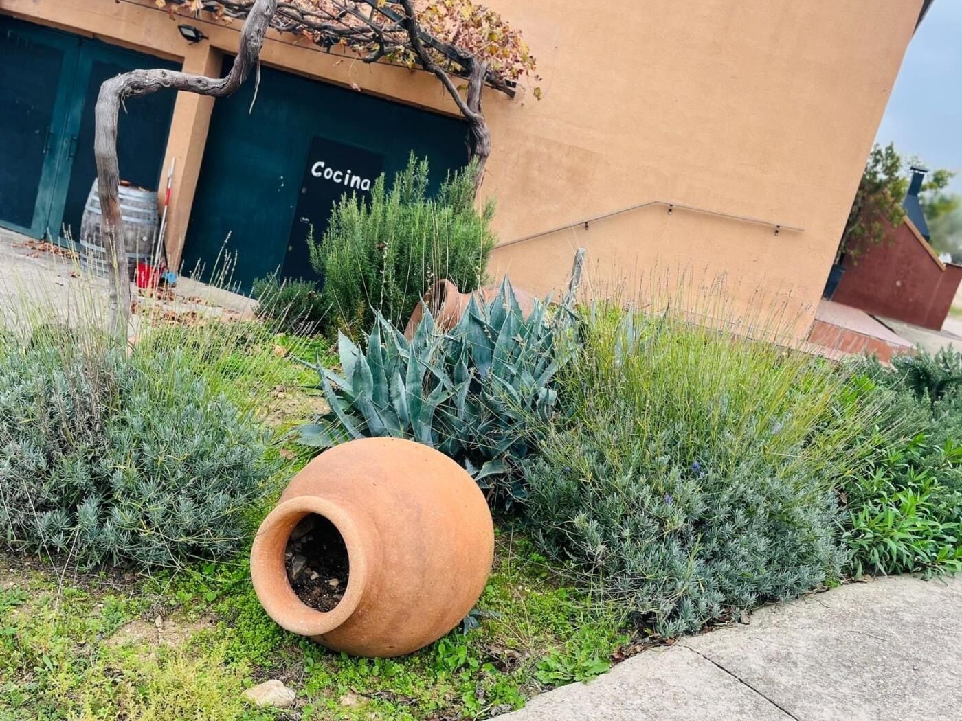 Détail de l’extérieur