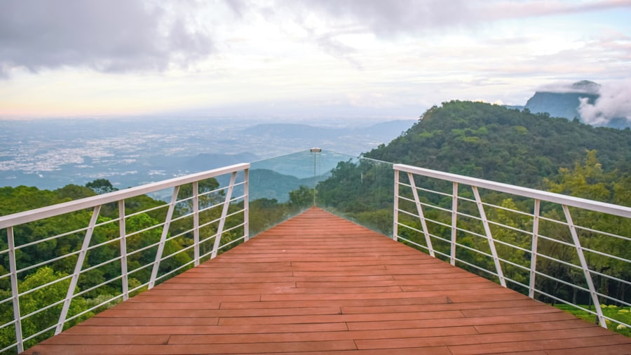 Ibex Resorts Coonoor Tapas