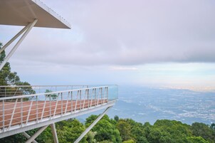 Vista desde la propiedad