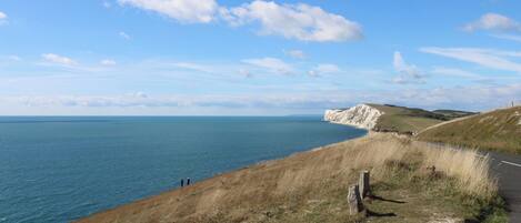 A coastal road with grassy terrain and a clear view of the sea.