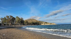 Une plage de galets, avec une colline boisée en arrière-plan et un ciel dégagé.