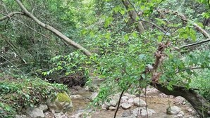 A natural stream with rocks and vegetation. - ATYPICAL ARCHITECT-DESIGNED HOUSE (Vence)