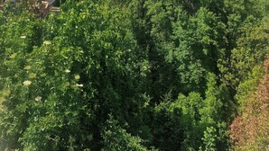 A lush green valley with a clear sky. - ATYPICAL ARCHITECT-DESIGNED HOUSE (Vence)