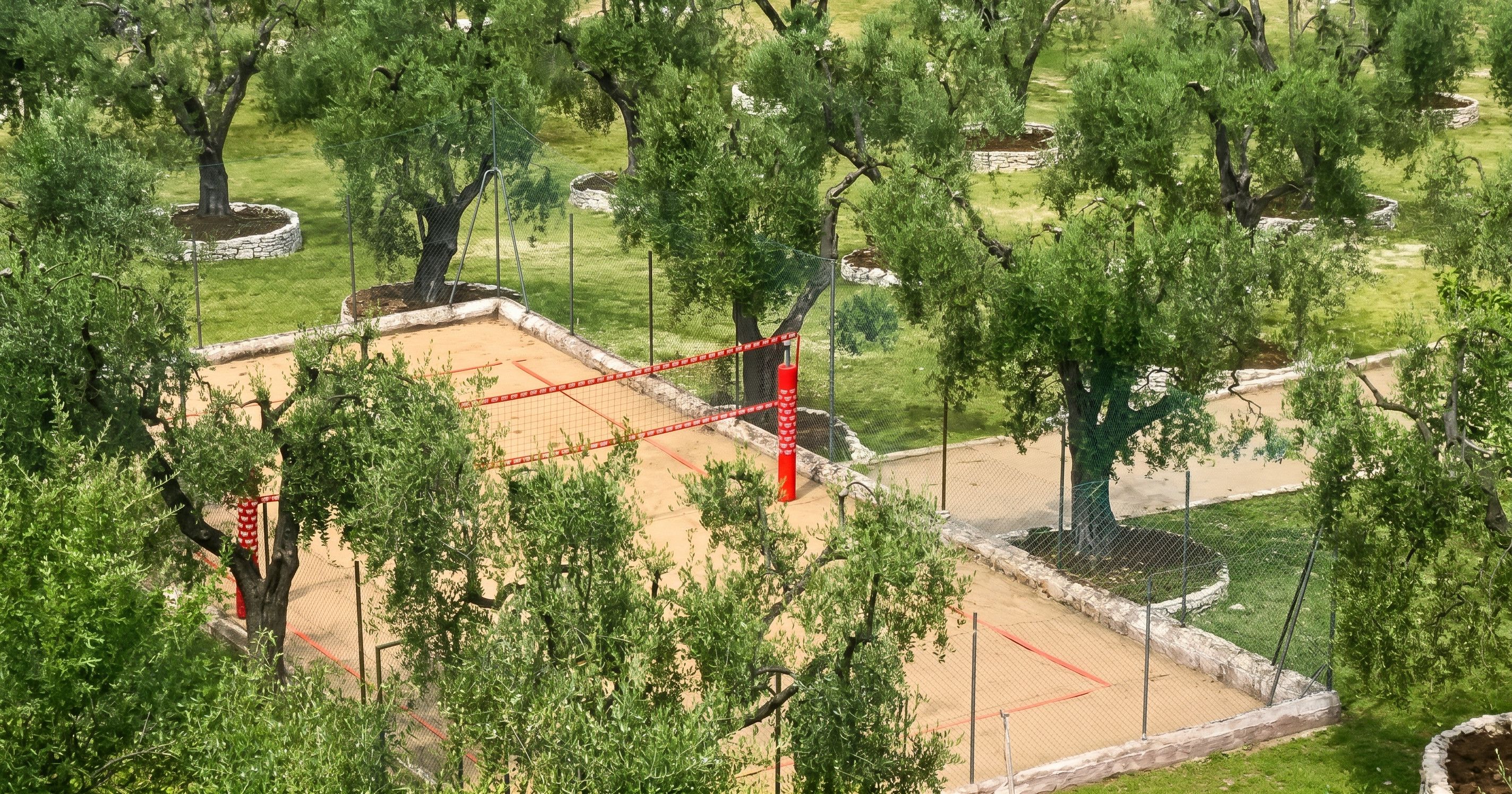 Field (volley/tennis)
