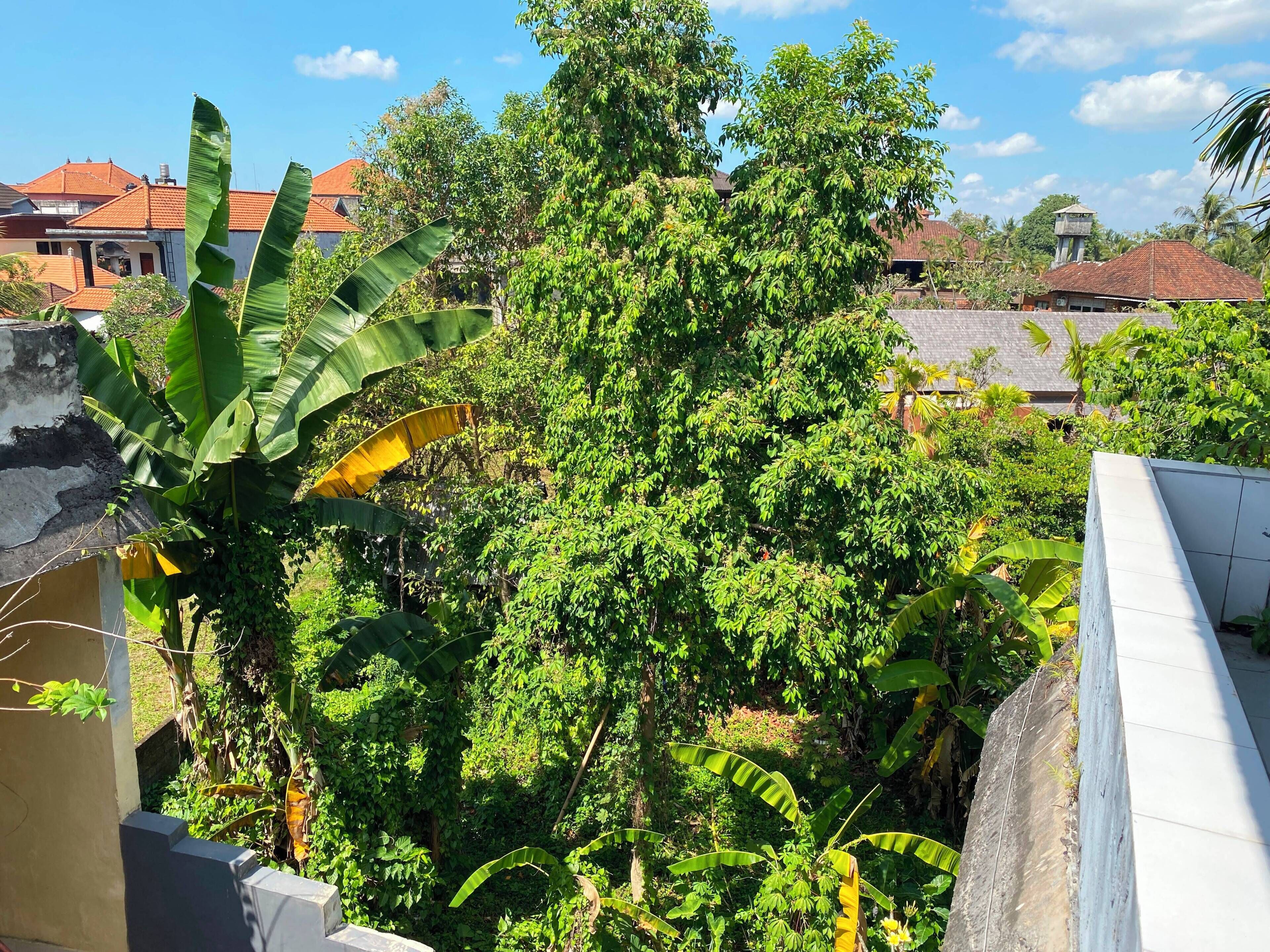 Vista desde la propiedad