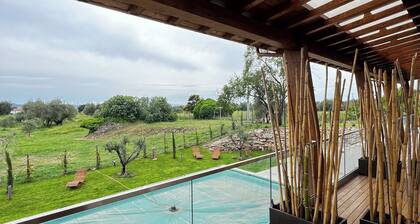 Torre Menerva Viterbo