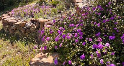 Beautiful Country Home in Pine Nut Farm