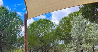 Slow Luxury - Alentejo Retreat in Pine Nut Forest